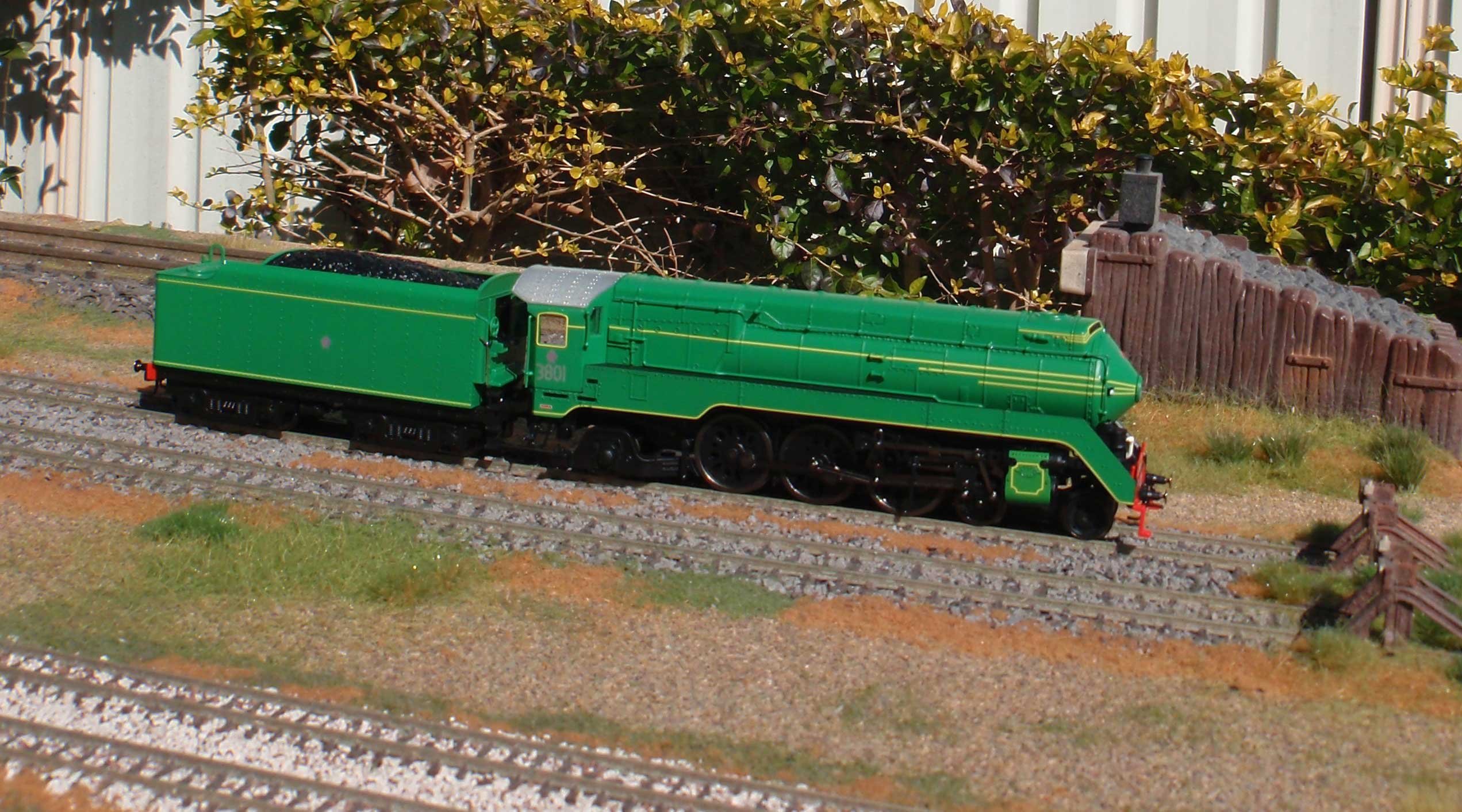 Australian Railway Models C38 Class in NSWGR Green livery